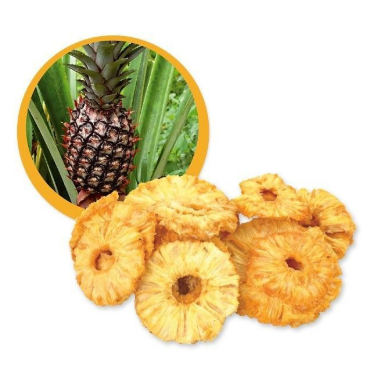 Piña en rodajas SIN AZÚCAR AÑADIDO 150g